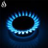 AHT30IN30S Hothit Propane Gas Cooktop 30" Inch, 5 Burner Built-in Stainless Steel Gas Stove Top, LPG/NG Dual Fuel