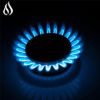 AHT30IN20S-SD-KP Hothit Propane Gas Cooktop 30" Inch with Griddle, 5 Burner Built-in Stainless Steel Gas Stove Top, LPG/NG Dual Fuel